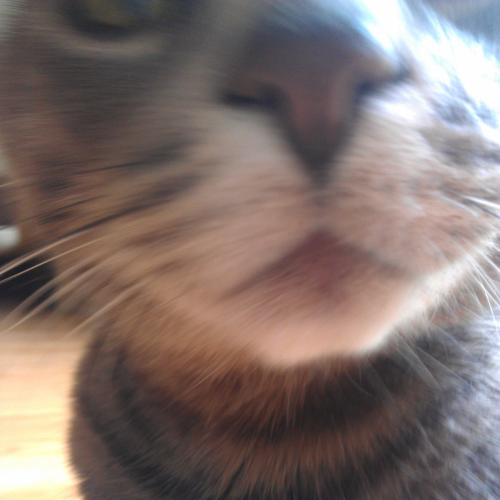 Meet your Posher, Kathy